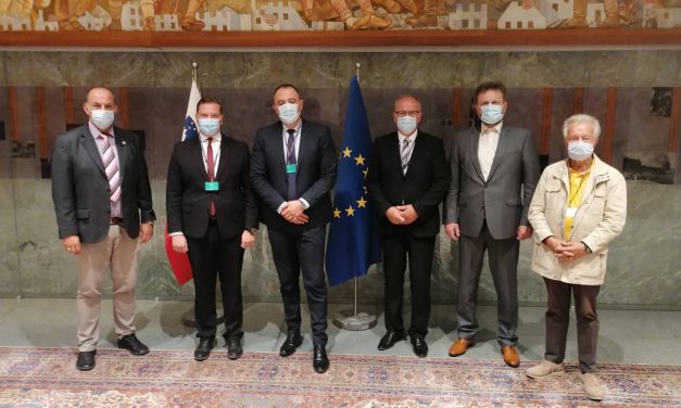 VUJADINOVIĆ: SRBIMA U SLOVENIJI OMOGUĆITI STATUS NACIONALNE MANJINE